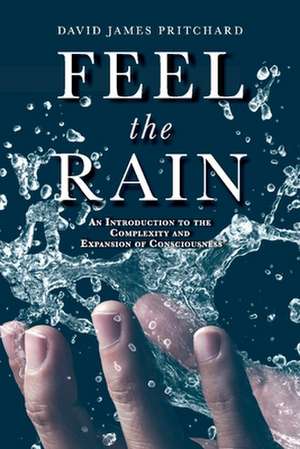 Feel the Rain: An Introduction to the Complexity and Expansion of Consciousness de David James Pritchard