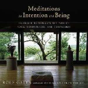 Meditations on Intention and Being de Rolf Gates