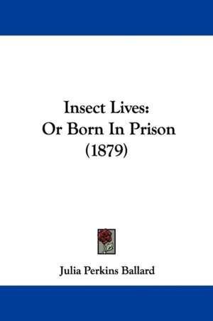 Insect Lives de Julia Perkins Ballard