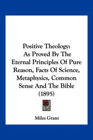 Positive Theology de Miles Grant