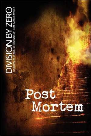 Division by Zero: 1 (Post Mortem) de Haley Brown