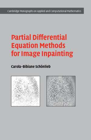 Partial Differential Equation Methods for Image Inpainting de Carola-Bibiane Schönlieb