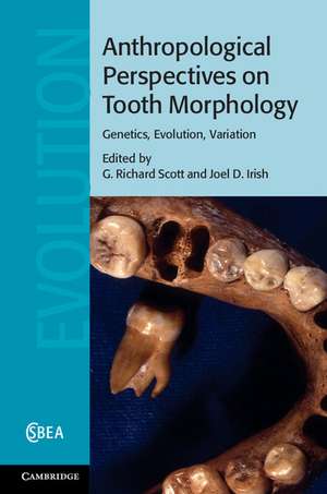 Anthropological Perspectives on Tooth Morphology: Genetics, Evolution, Variation de G. Richard Scott