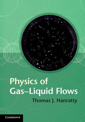 Physics of Gas-Liquid Flows de Thomas J. Hanratty