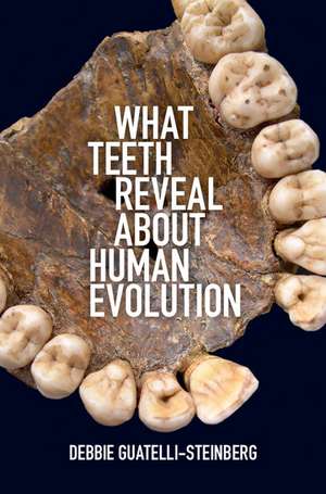 What Teeth Reveal about Human Evolution de Debbie Guatelli-Steinberg
