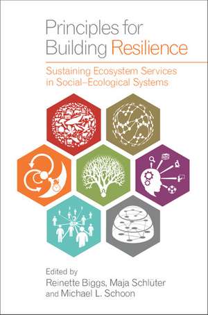 Principles for Building Resilience: Sustaining Ecosystem Services in Social-Ecological Systems de Reinette Biggs