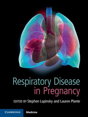 Respiratory Disease in Pregnancy de Stephen E. Lapinsky