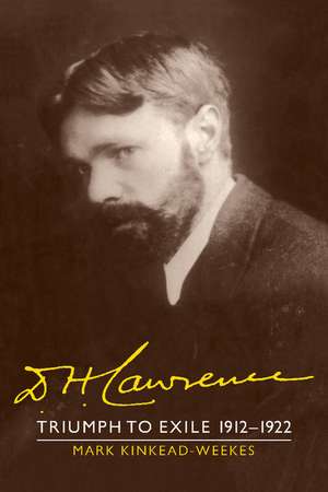 D. H. Lawrence: Triumph to Exile 1912–1922: The Cambridge Biography of D. H. Lawrence de Mark Kinkead-Weekes