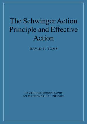 The Schwinger Action Principle and Effective Action de David J. Toms