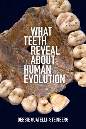 What Teeth Reveal about Human Evolution de Debbie Guatelli-Steinberg