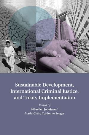 Sustainable Development, International Criminal Justice, and Treaty Implementation de Sébastien Jodoin