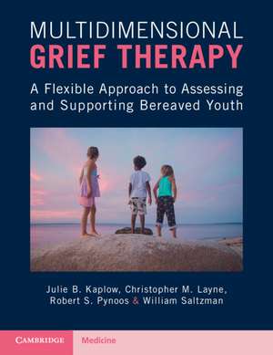 Multidimensional Grief Therapy: A Flexible Approach to Assessing and Supporting Bereaved Youth de Julie B. Kaplow