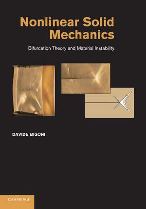 Nonlinear Solid Mechanics: Bifurcation Theory and Material Instability de Davide Bigoni