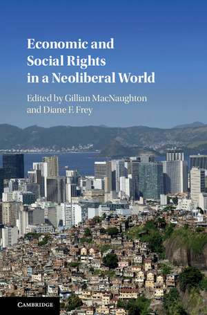 Economic and Social Rights in a Neoliberal World de Gillian MacNaughton