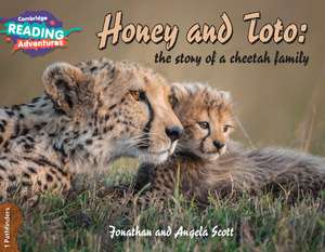 Cambridge Reading Adventures Honey and Toto: The Story of a Cheetah Family 1 Pathfinders de Jonathan and Angela Scott