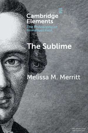 The Sublime de Melissa McBay Merritt