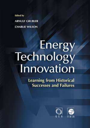 Energy Technology Innovation: Learning from Historical Successes and Failures de Arnulf Grubler