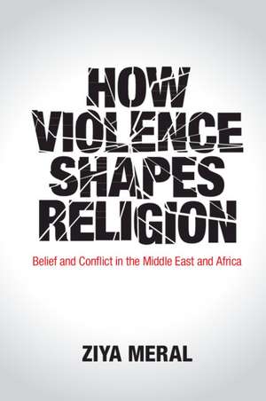 How Violence Shapes Religion: Belief and Conflict in the Middle East and Africa de Ziya Meral