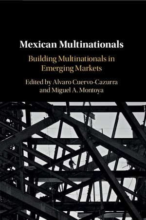 Mexican Multinationals: Building Multinationals in Emerging Markets de Alvaro Cuervo-Cazurra