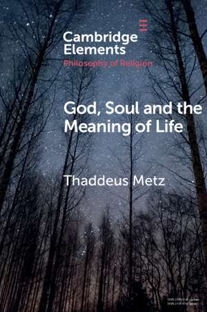 God, Soul and the Meaning of Life de Thaddeus Metz