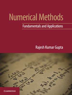 Numerical Methods: Fundamentals and Applications de Rajesh Kumar Gupta