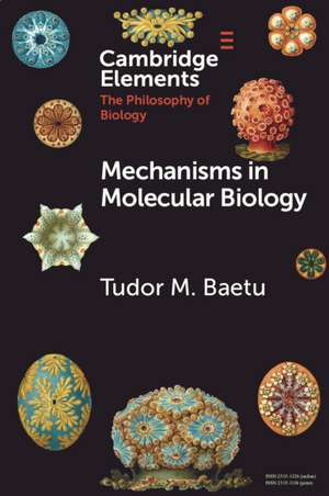 Mechanisms in Molecular Biology de Tudor Baetu