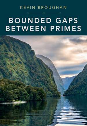 Bounded Gaps Between Primes: The Epic Breakthroughs of the Early Twenty-First Century de Kevin Broughan