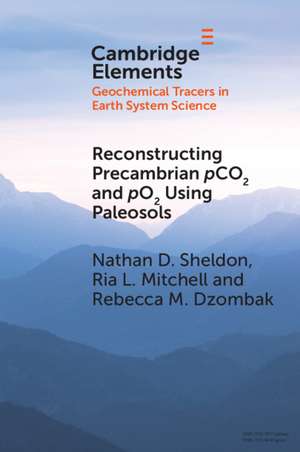 Reconstructing Precambrian pCO2 and pO2 Using Paleosols de Nathan D. Sheldon