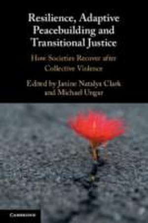 Resilience, Adaptive Peacebuilding and Transitional Justice de Janine Natalya Clark