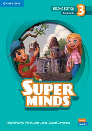 Super Minds Level 3 Flashcards British English de Herbert Puchta