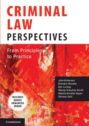 Criminal Law Perspectives: From Principles to Practice de John Anderson