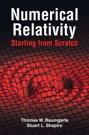 Numerical Relativity: Starting from Scratch de Thomas W. Baumgarte