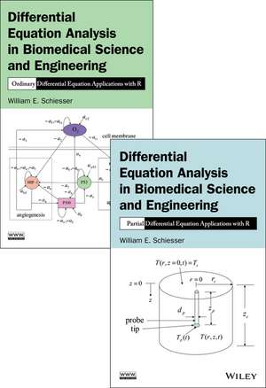 Differential Equation Analysis Set Analysis