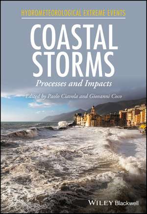 Coastal Storms – Processes and Impacts de P Ciavola