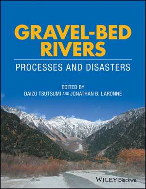 Gravel–Bed Rivers – Processes and Disasters de D Tsutsumi