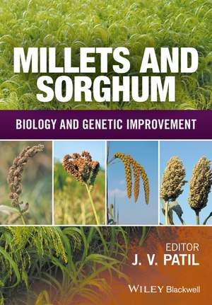 Millets and Sorghum de Jagannath V Patil