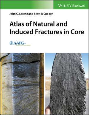 Atlas of Natural and Induced Fractures in Core de JC Lorenz