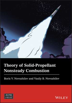 Theory of Solid–Propellant Nonsteady Combustion de VB Novozhilov