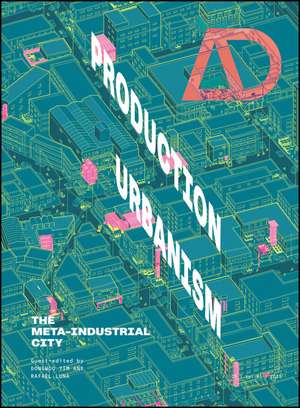 Production Urbanism – The Meta Industrial City de D Yim