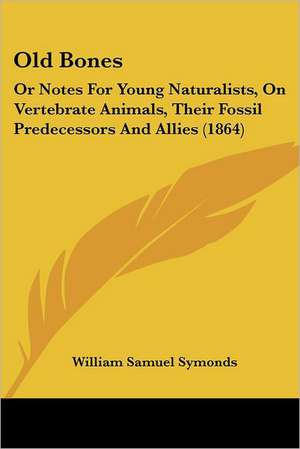 Old Bones de William Samuel Symonds