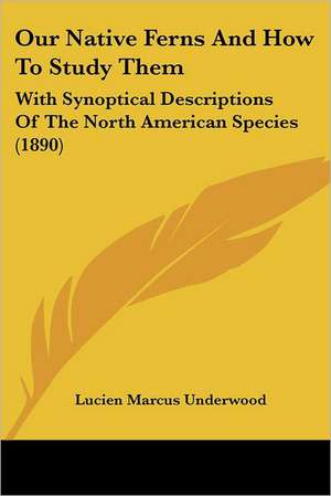 Our Native Ferns And How To Study Them de Lucien Marcus Underwood