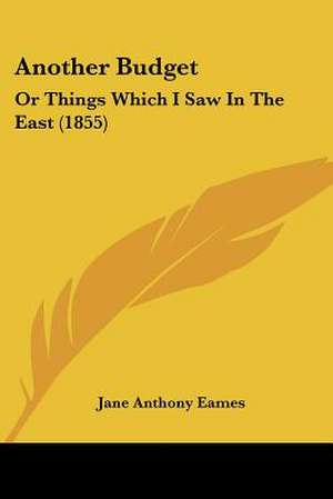 Another Budget de Jane Anthony Eames