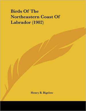 Birds Of The Northeastern Coast Of Labrador (1902) de Henry B. Bigelow