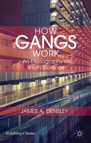 How Gangs Work: An Ethnography of Youth Violence de J. Densley