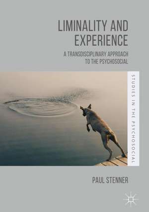 Liminality and Experience: A Transdisciplinary Approach to the Psychosocial de Paul Stenner