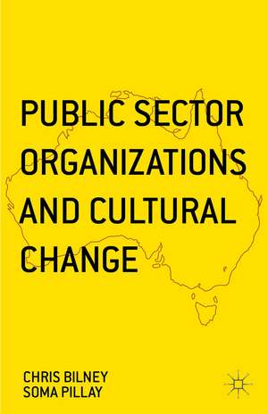 Public Sector Organizations and Cultural Change de Soma Pillay