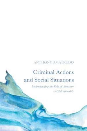 Criminal Actions and Social Situations: Understanding the Role of Structure and Intentionality de Anthony Amatrudo