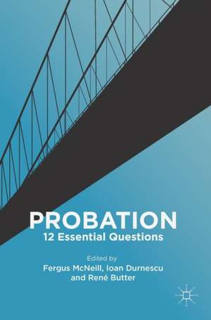 Probation: 12 Essential Questions de Fergus McNeill