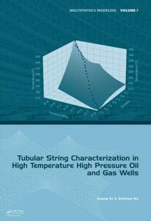 Tubular String Characterization in High Temperature High Pressure Oil and Gas Wells de Jiuping Xu