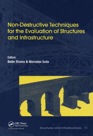 Non-Destructive Techniques for the Evaluation of Structures and Infrastructure de Belén Riveiro